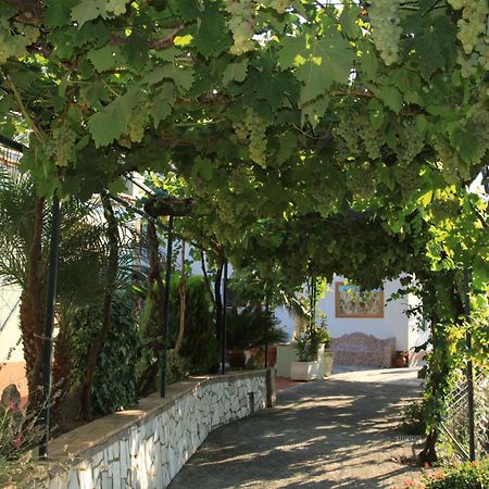 B&B Il Grappolo Anacapri  Bagian luar foto