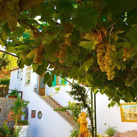 B&B Il Grappolo Anacapri  Bagian luar foto