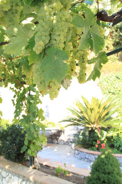 B&B Il Grappolo Anacapri  Bagian luar foto