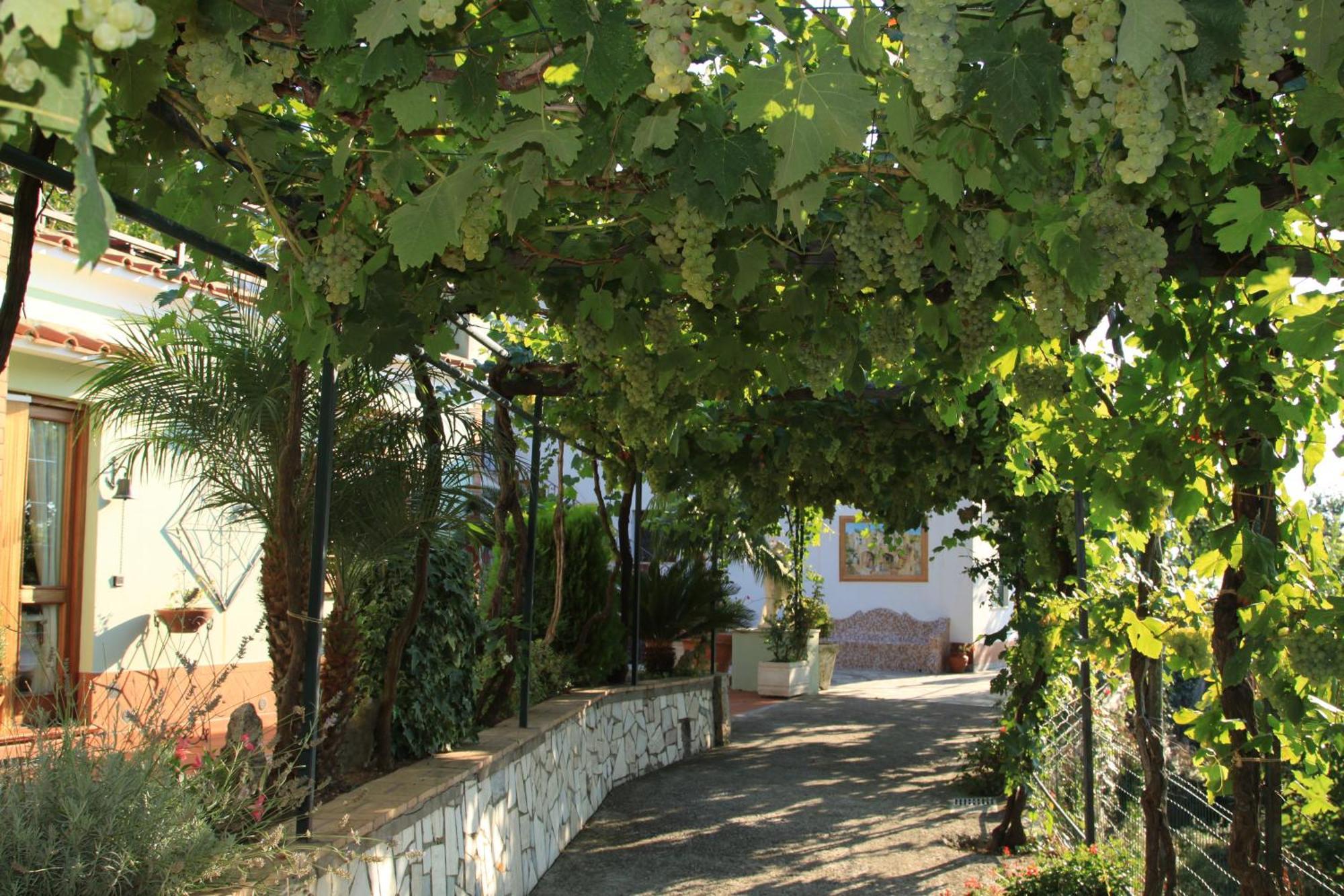 B&B Il Grappolo Anacapri  Bagian luar foto