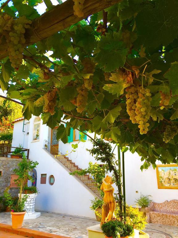 B&B Il Grappolo Anacapri  Bagian luar foto