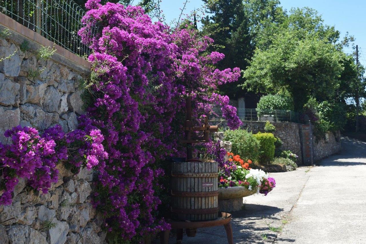 B&B Il Grappolo Anacapri  Bagian luar foto